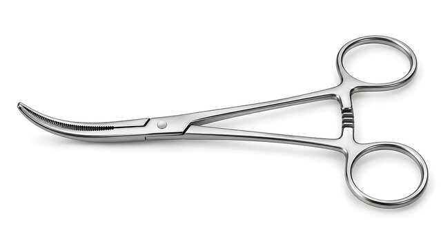 Stainless Steel Curved Locking Hemostatic Kelly Forceps Clamp on White