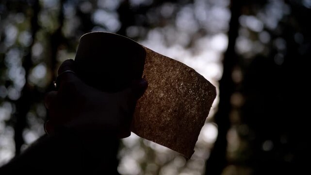 Hand grips a brown paper towel roll against bright sunlight filtering through forest trees. Backlit silhouette framing offers an authentic mood for camping and outdoor lifestyle cutaways.