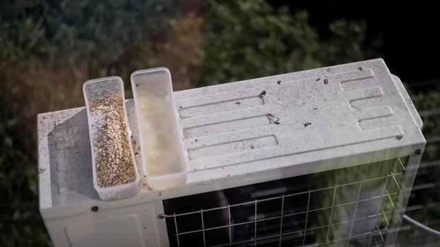Plastic containers filled with birdseed and water sit on an outdoor air conditioner compressor in bright daylight. The simple setup offers an authentic cutaway for urban nature stories.