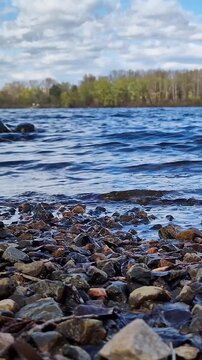 Riverbank with emphasis on rocky shore and blue water. Early autumn nature recreation. River or lake shore with small stones in the foreground. Calm day in nature. Vertical nature video