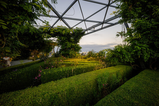 View of The Garden at 120 featuring manicured hedges, lush greenery, and a modern geometric trellis structure under a soft evening sky in London, England, United Kingdom.