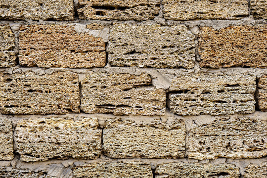 Yellow shell limestone wall texture close up