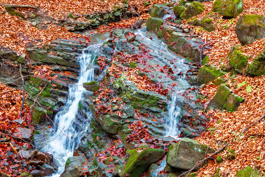 small waterfall in the autumn forest. mossy boulders among fallen foliage. nice autumnal scenery of Transcarpathia to travel.