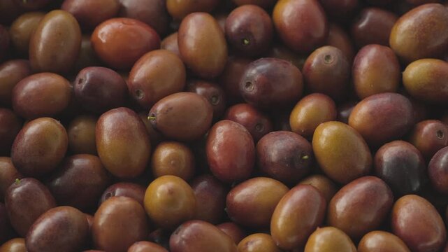 Close Up of Fresh Ripe Jujube Chinese Date Fruits Ziziphus Jujuba Rotating Slowly Concept of Healthy Harvest and Natural Superfood