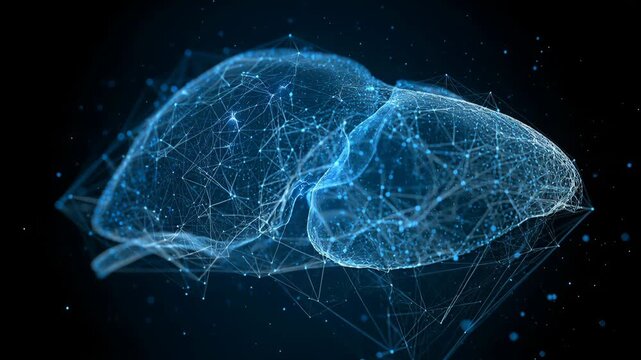 3D model of a human liver with digital connections and glowing effects