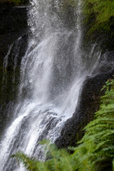Obraz premium Close-Up of Water Spraying Down Lower South Falls Beside Ferns