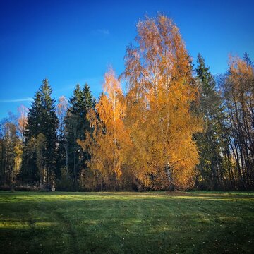 Gauja, Latvia, October 2018