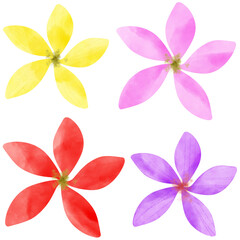 Hand-drawn watercolor plumeria flowers painting. Plumeria flowers vector illustration. © Ryulookyee