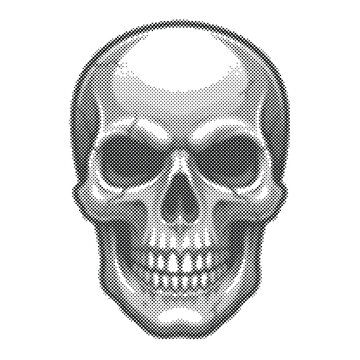 Monochromatic Halftone Human Skull Graphic on Transparent Background. Additional Visible Detail Includes Anatomy.