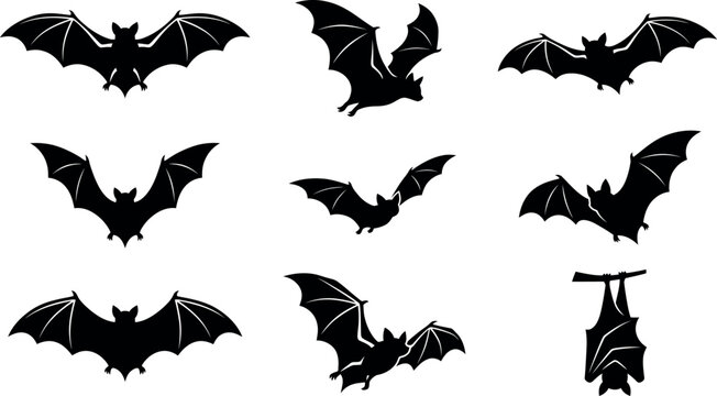 Collection of black silhouettes of bats in various flying and hanging poses