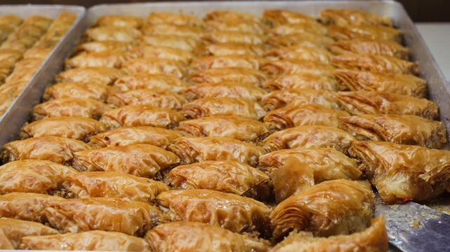 Traditional Turkish baklava pastries arranged in rows on baking tray, sweet layered dessert, close-up food video footage. High quality 4k footage
