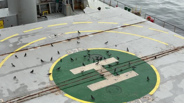 doves on ship hatch cover with helipad.