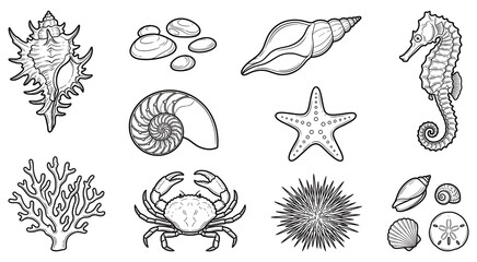 Obraz premium Sea shells starfish and marine life line art set.