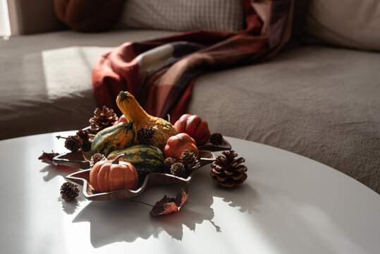 Autumnal still life with pumpkins and pine cones on a coffee table with a couch in the background