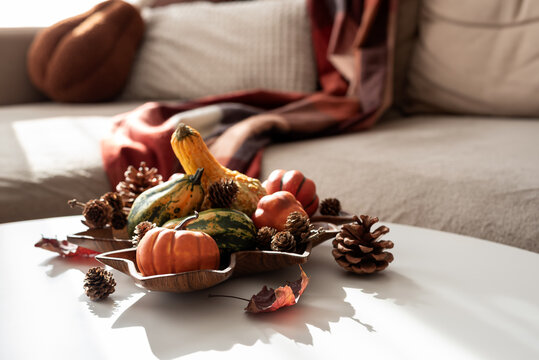 Autumn harvest decorative arrangement of pumpkins gourds pine cones and leaves on a table