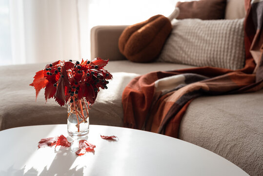 Cozy autumnal living room decor with red leaves and plaid blanket on sofa