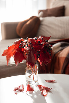 Autumn red leaves and berries in glass vase on white table indoors with soft background