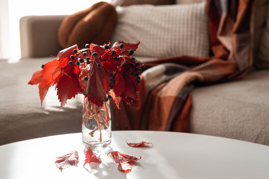 Cozy Autumn Living Room Scene with Red Leaves in Vase and Blanket
