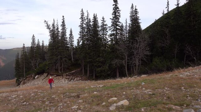 Girl in a red jacket walks on a mountainside. Lifts on Ski resort Rohace Express, Zuberec, Slovakia