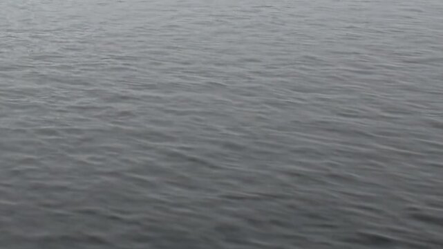 Calm gray water and gentle surface ripples fill a minimal cold seascape. The scene also contains overcast light, with the framing revealing natural texture and spatial depth.