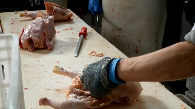 Poultry processing plant workers cutting raw chicken meat on a white table
