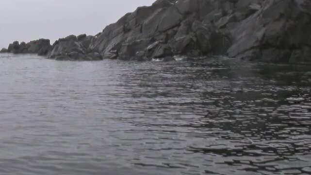 A rugged rocky coast with snow patches rises above cold water. The frame also shows natural light and surface texture, adding visible texture and spatial context to the scene.