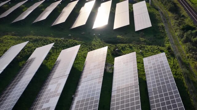 Aerial footage of a solar farm on green grass by railway tracks with a flock of sheep grazing between photovoltaic panels under bright, reflecting sunlight.