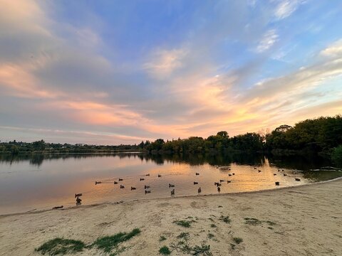 Sunset over Calm Lake with Flock of Ducks and Sandy Shoreline