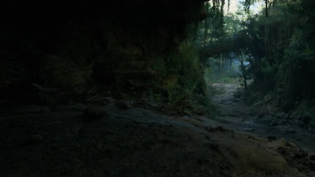 A quiet forest area shows a stream running through. Sunlight breaks through tree branches. Green plants surround the rocky ground in early morning light.