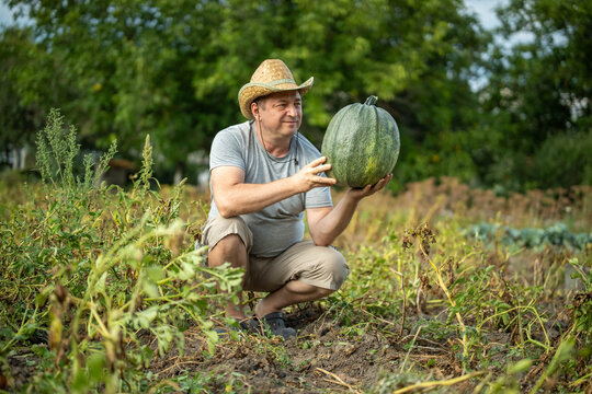 A farmer is in a garden holding a large green watermelon while crouching. The garden has some plants and trees around. It looks like a bright day with some clouds