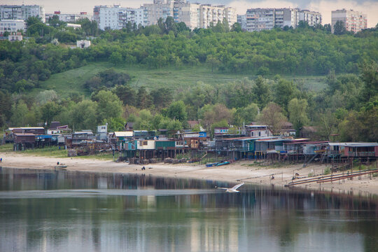 White gull flying over the river water near small stilt houses on the beach with a green hill and city buildings in the background