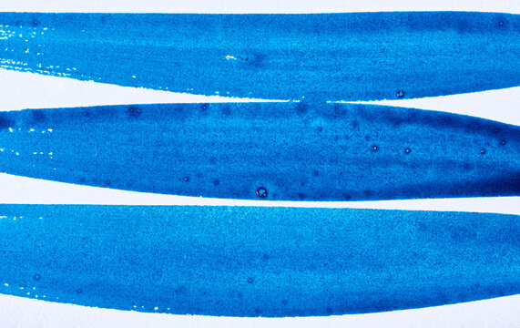 Three wide parallel blue watercolor paint brush strokes on white paper.