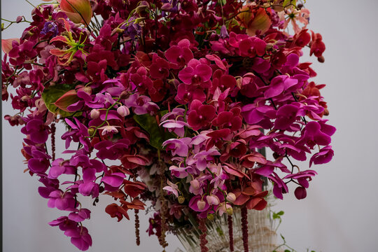 Hanging Floral Installation with Cascading Magenta Orchid Blooms. An elaborate hanging floral art installation featuring dense clusters of vibrant magenta, deep purple, and red orchids (Phalaenopsis) 