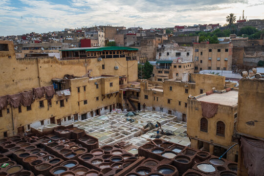 the intricate network of stone dyeing vats and narrow separating partitions at the ancient tanneries in Fes, Morocco