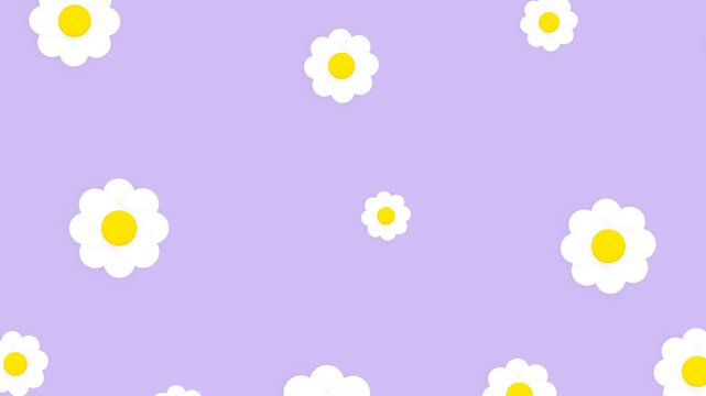 Daisy Flower Pattern Animation on Pastel Purple Background