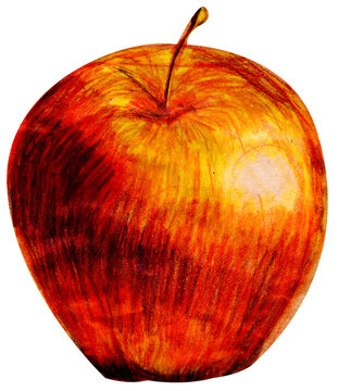 Hand drawn colored pencil illustration of a fresh red apple on textured kraft paper background, artistic sketch
