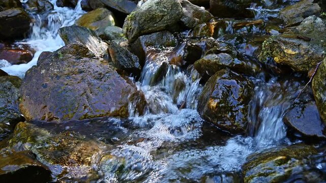 Clear mountain stream flowing over dark rocks and moss