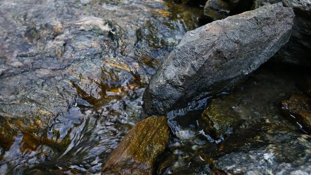 Clear stream water flowing over rocks in a brook