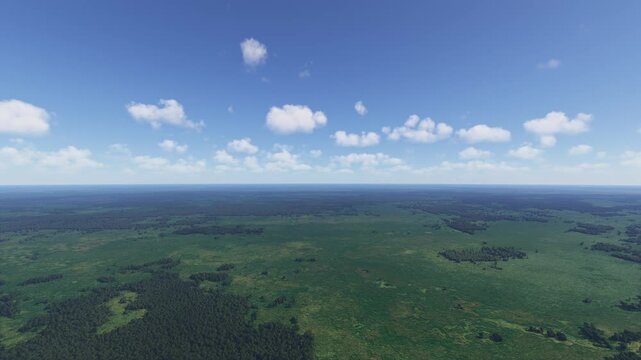 Aerial drone view of Okefenokee Swamp Georgia. United States