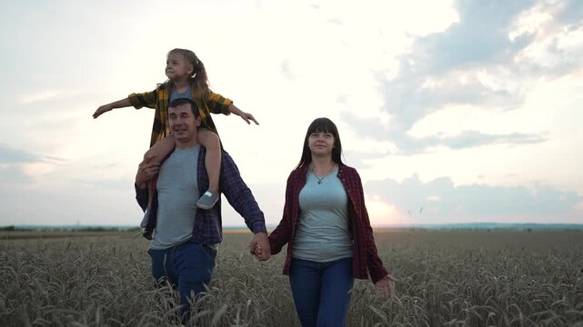 Happy family walks in wheat field at sunset. Child spreads arms on father shoulders. Parents hold hands in golden grain field. Happy couple with daughter enjoys countryside walk at dusk.