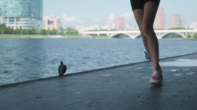 Pigeons on riverbank promenade as jogger passes by under soft daylight with arched bridge over water and city skyline