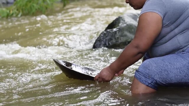 Side view of Latin American woman washing sediment in a batea for gold