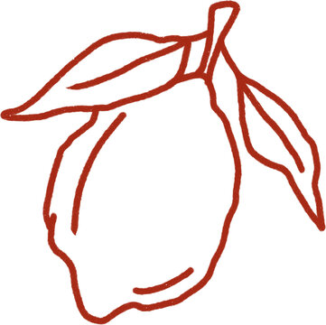 Hand Drawn Lemon Vintage Red Line Art Fruit Illustration