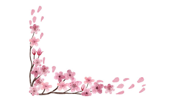 pink flower border