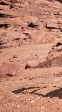 A person stands on rocky ground in a desert location during the afternoon. The sun creates shadows on the terrain as the individual examines the area.
