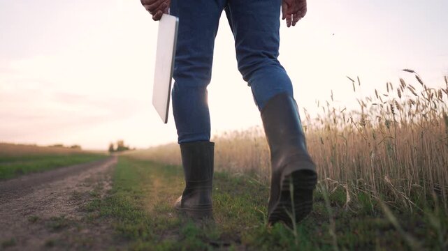Farmer walks along rural dirt path beside wheat field at sunset. Person in rubber boots holds clipboard and walking stick. Farmer strides through countryside during golden hour near farmland.