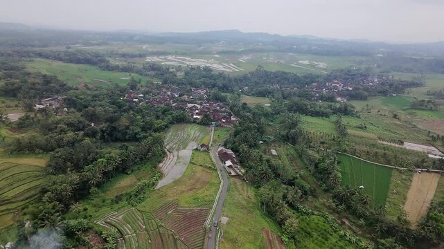 Drone shot of peaceful countryside road and paddy fields in Java
