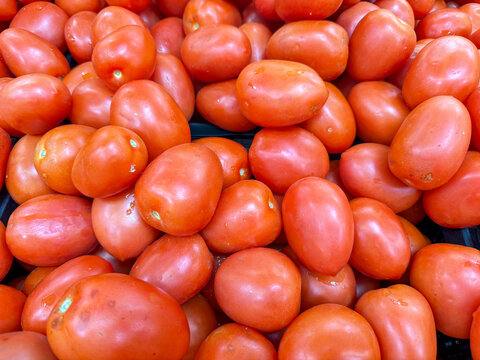 Pile of Fresh Ripe Roma Tomatoes at Mexican Market &ndash; Red Vegetable Food Background Closeup