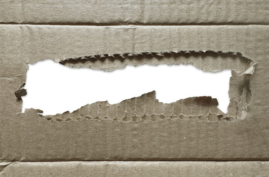 Torn Corrugated Cardboard Hole Ripped Packaging Reveal Concept