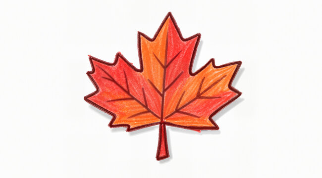 Maple leaf isolated: Naive hand-drawn maple leaf isolated on white. Simple cozy style for logos and seasonal designs.
